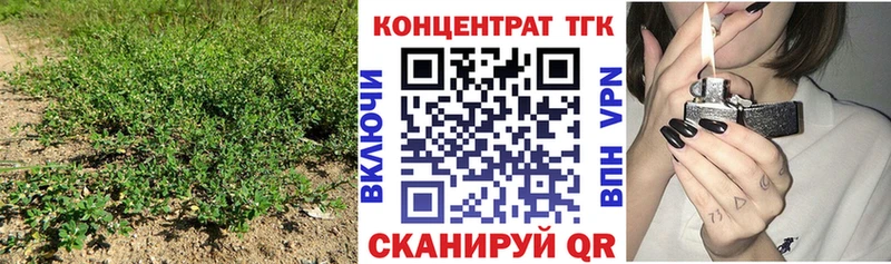 мега как зайти  купить наркотики сайты  Щучье  Дистиллят ТГК вейп 