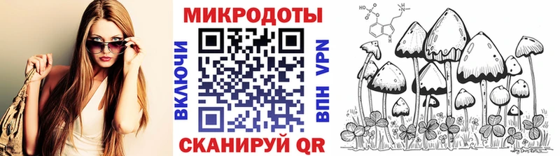 hydra ссылки Щучье Галлюциногенные грибы ЛСД